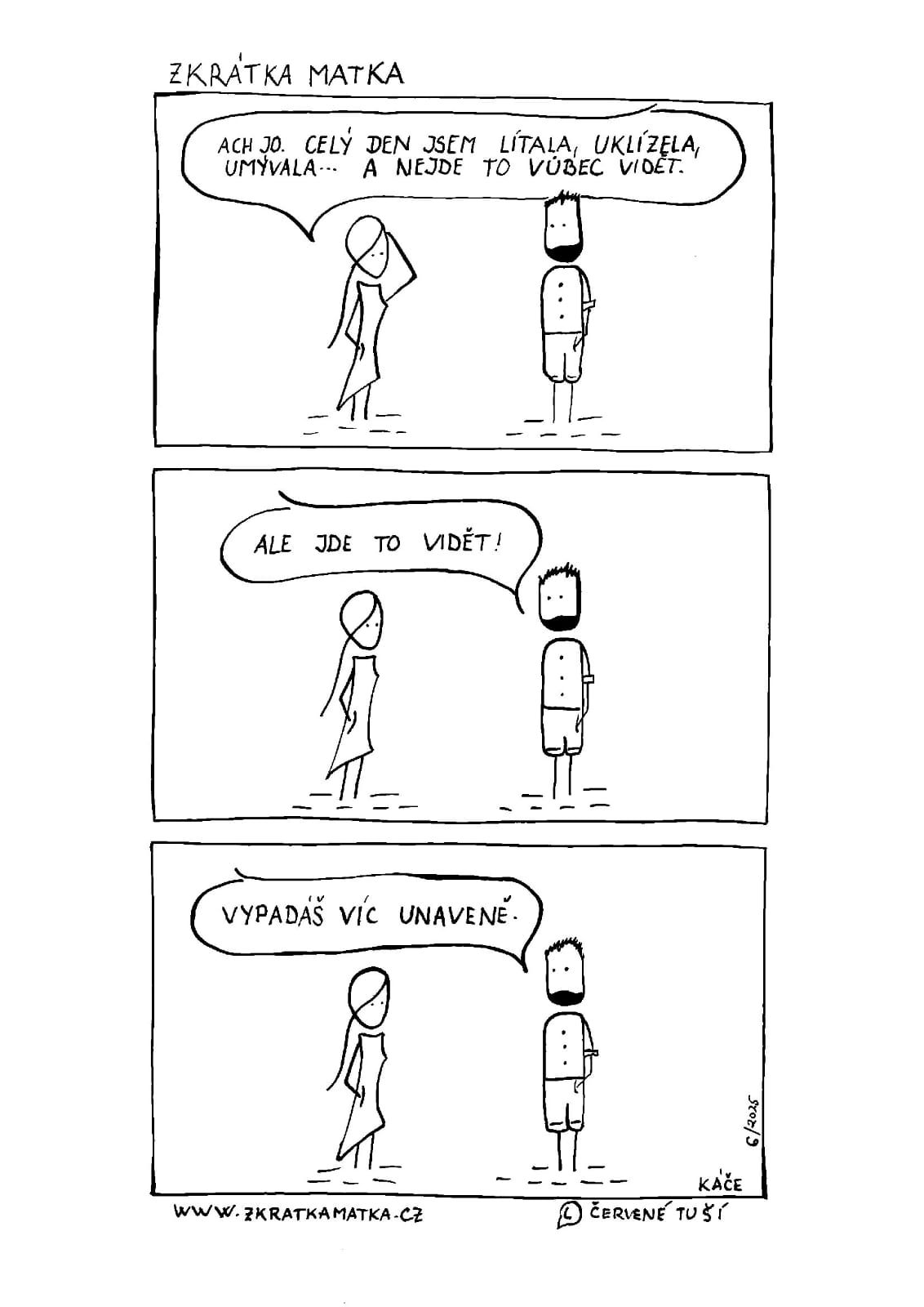 Celodenní úklid